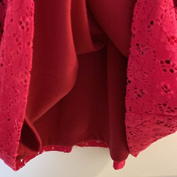 Deletta Anthropologie Sleeveless Lace Hot Pink Skater Style Dress Size Large - Picture 6 of 10